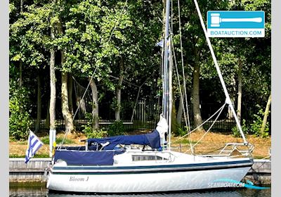 Piewiet 850 Segelbåt 1986, med Yanmar motor, Holland