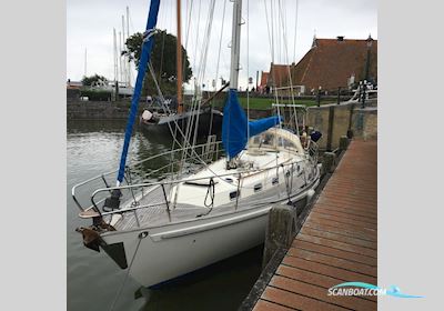 Rival 36 Segelbåt 1993, Holland