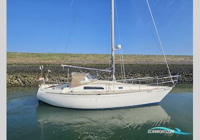 Seamaster 925 Segelbåt 1978, Holland