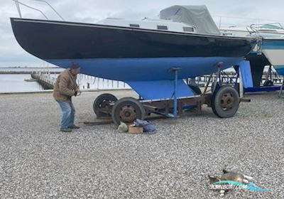 Spækhugger Segelbåt 1973, med Volvo Penta md 5 motor, Danmark