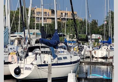Spirit 32 Segelbåt 1983, Holland