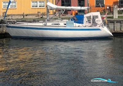 Sweden Yachts 340 Segelbåt 1989, med Volvo Penta motor, Danmark