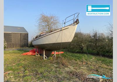 Trewes 923 Segelbåt 1966, med Sabb motor, Holland
