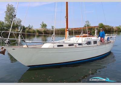 Trintel 2a Segelbåt 1965, Holland