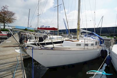Trintella 2 Segelbåt 1971, med Sabb motor, Holland