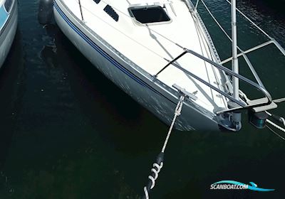 Trio 80 1981 Segelbåt 1981, med Yanmar Y 1 motor, Tyskland