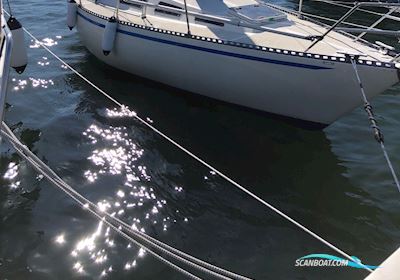 Trio 80 Segelbåt 1980, med Yanmark 2GM20 motor, Danmark