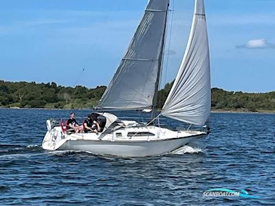 Van De Stadt Vita 30 Segelbåt 2005, med Yanmar motor, Holland