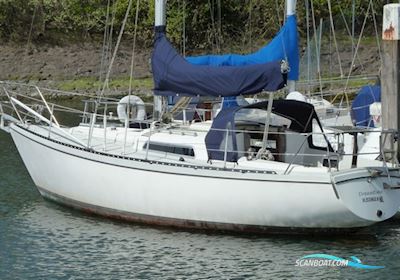 Victoire 933 Segelbåt 1979, med Yanmar 2GM20 motor, Holland