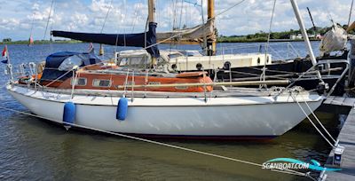 Vindo 40 Segelbåt 1977, med Volvo Penta motor, Holland