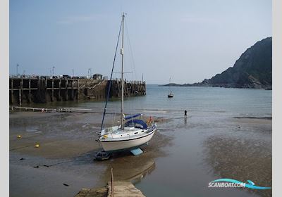 Westerly Konsort 29 Segelbåt 1984, med Bukh Diesel motor, Holland