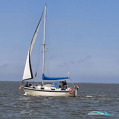 Westerly Konsort 29 Segelbåt 1984, med Bukh Diesel motor, Holland