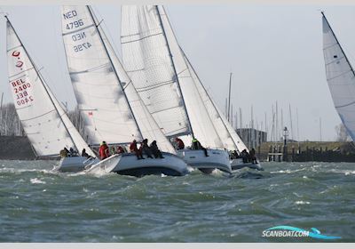 Westerly Typhoon 37 Segelbåt 1990, med Volvo Penta motor, Holland
