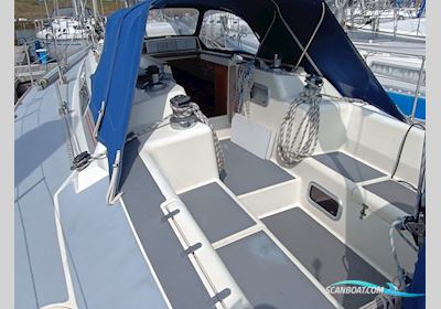 Westerly Typhoon 37 Segelbåt 1990, med Volvo Penta motor, Holland