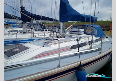 Westerly Typhoon 37 Segelbåt 1990, med Volvo Penta motor, Holland