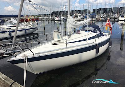 Willing 31 Segelbåt 1978, med Volvo Penta D1-20 motor, Danmark