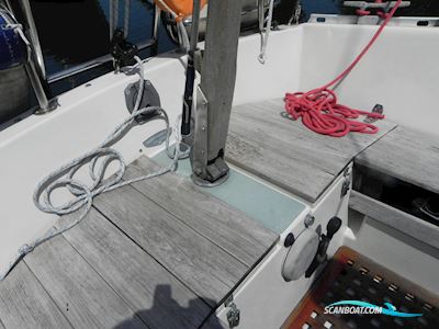 Willing 31 Segelbåt 1983, med Volvo Penta motor, Holland