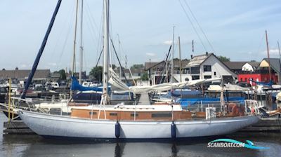 Alan Buchanan 10.87 Segelboot 1963, mit Yanmar 3 cl 28 hp motor, Italien