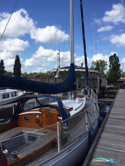 Alan Buchanan 10.87 Segelboot 1963, mit Yanmar 3 cl 28 hp motor, Italien