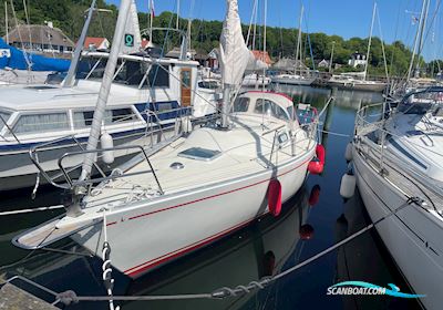 Albin Alfa 29 Segelboot 1987, mit Yanmar motor, Dänemark