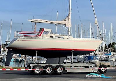 Albin Alfa 29 Segelboot 1987, mit Yanmar motor, Dänemark