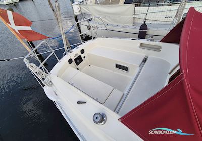 Albin Alpha 29 Segelboot 1989, mit Yanmar 10 motor, Dänemark