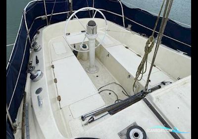 Albin Ballad 30 Segelboot 1973, mit Yanmar motor, Irland