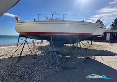 Albin Cirrus 27 Segelboot 1981, mit Volvo Penta motor, Dänemark