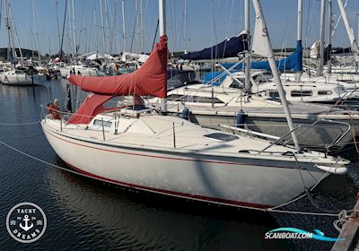 Albin Cirrus Segelboot 1978, mit Volvo Penta 2010 D/MS motor, Dänemark