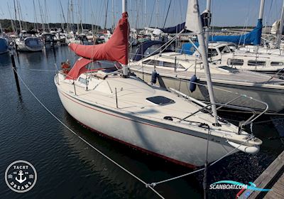Albin Cirrus Segelboot 1978, mit Volvo Penta 2010 D/MS motor, Dänemark