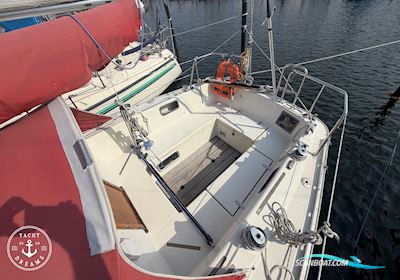 Albin Cirrus Segelboot 1978, mit Volvo Penta 2010 D/MS motor, Dänemark
