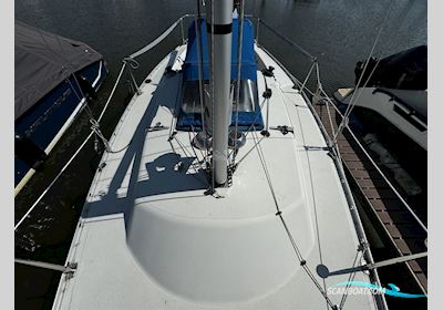 Albin Express Segelboot 1978, Deutschland