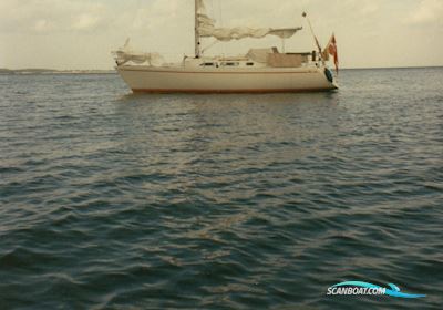 Albin Nova 33 Segelboot 1987, mit Yanmar motor, Dänemark