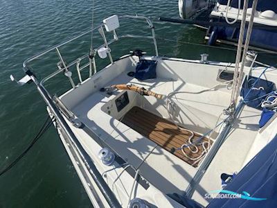 Albin Scampi MK IIII Segelboot 1979, mit Lombardini motor, England