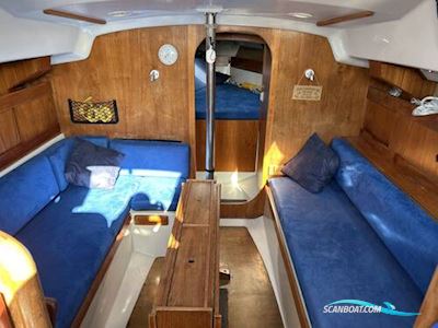 Albin Scampi MK IIII Segelboot 1979, mit Lombardini motor, England