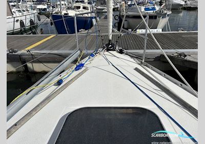 Albin Scampi MK IIII Segelboot 1979, mit Lombardini motor, England