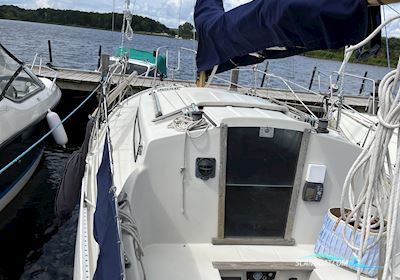 Albin Vega Segelboot 1974, mit Yanmar motor, Dänemark