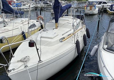 Albin Vega Segelboot 1974, mit Yanmar motor, Dänemark