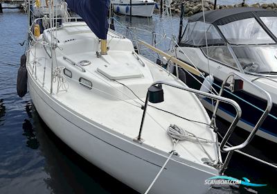 Albin Vega Segelboot 1974, mit Yanmar motor, Dänemark