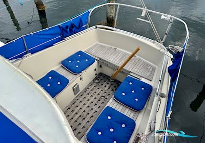 Albin Vega Segelboot 1972, mit Volvo Penta MD7A motor, Dänemark