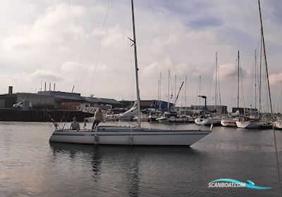 Aphrodite 101 Segelboot 1980, mit Yanmar motor, Dänemark