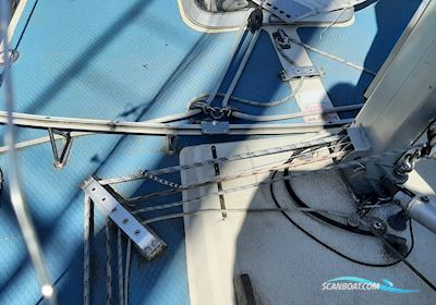 Aphrodite 101 Segelboot 1980, mit Yanmar motor, Dänemark