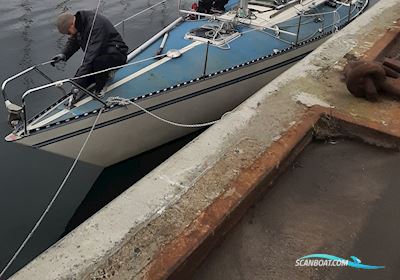 Aphrodite 101 Segelboot 1980, mit Yanmar motor, Dänemark