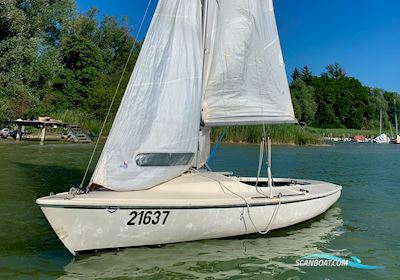 Aquila Segelboot 1981, Deutschland