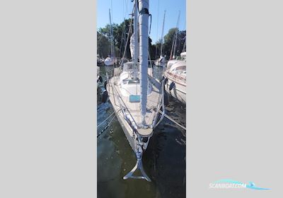 Asmus Germany Hanseat A37 Segelboot 1987, mit Volvo Penta motor, Deutschland