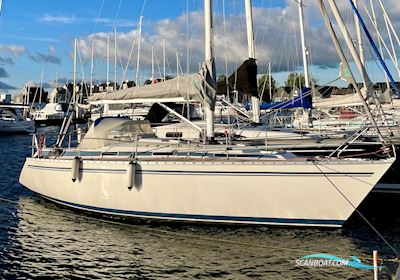 Bavanca 320 Segelboot 1995, mit Yanmar 3GM30F motor, Dänemark
