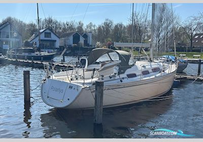 Bavaria 31 Cruiser Segelboot 2010, Niederlande