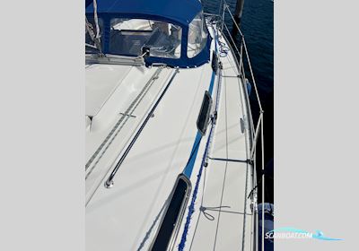 Bavaria 34-2 Segelboot 2000, mit Volvo Penta MD2020 Cbt motor, Dänemark