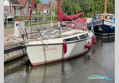Bavaria 808 TC Segelboot 1979, mit Volvo Penta motor, Niederlande