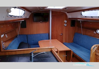 Bavaria Cruiser 34 Segelboot 2009, mit Volvo-Penta motor, Deutschland